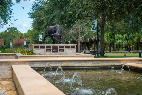 USFSM campus board