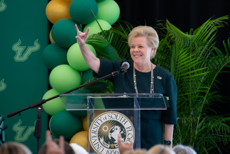 usf system
