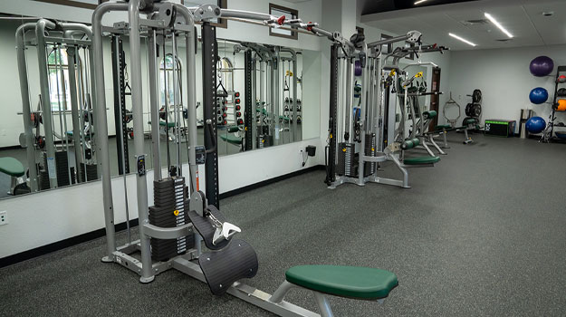 Fitness center weights