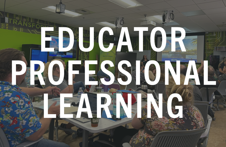 Educator professional learning - adults being taught inside the collaboratory