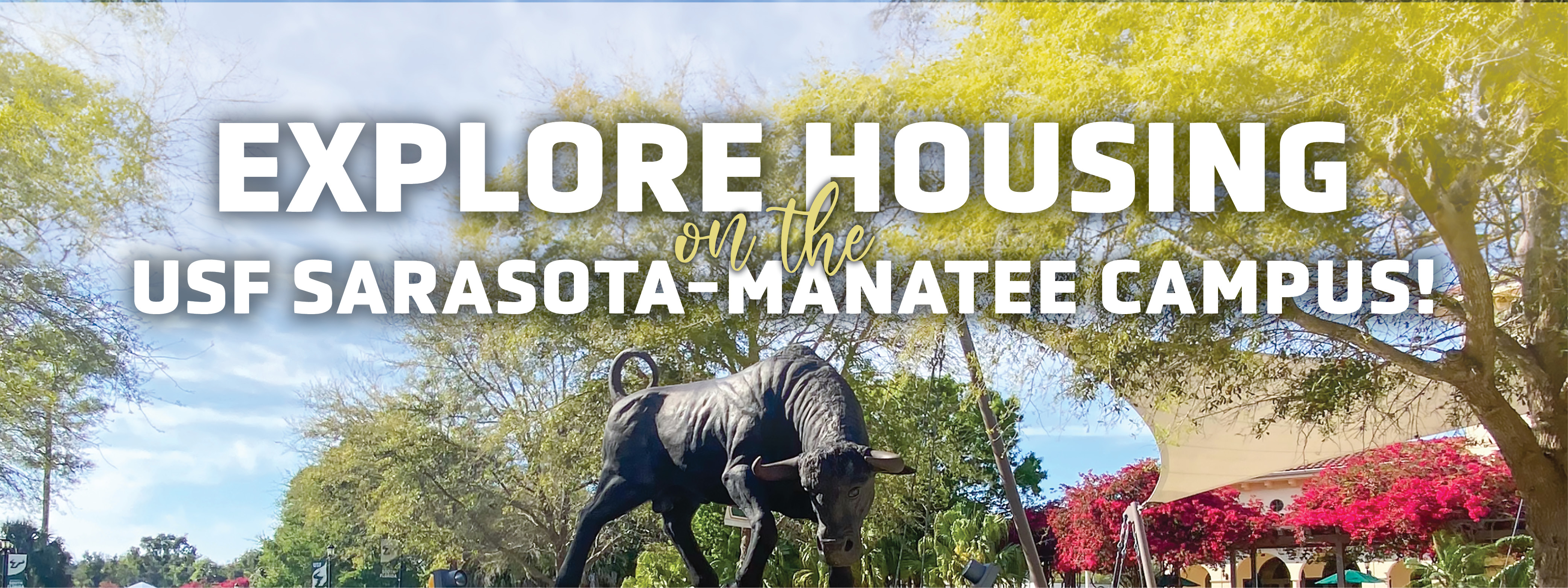 Explore Housing on the USF Sarasota-Manatee Campus! 