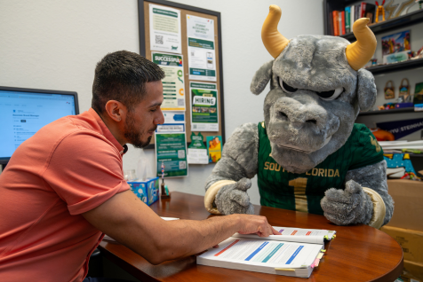 Degrees & Programs at USFSM