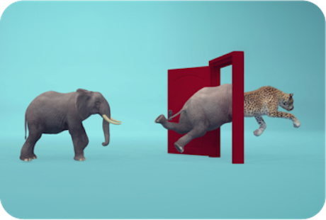 animals changing through a door
