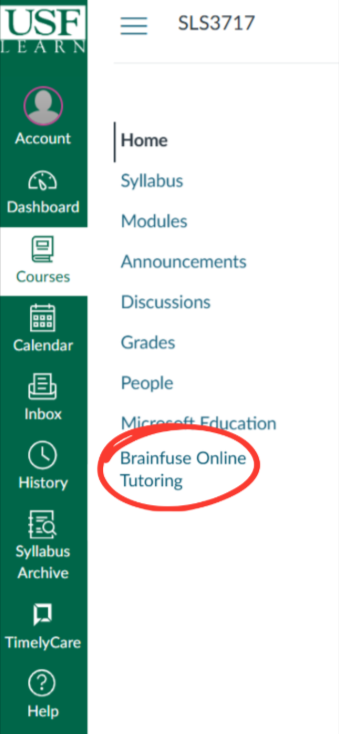 Brainfuse screenshot
