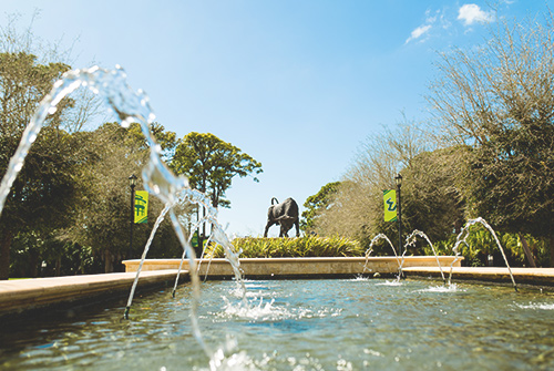 awards and rewards usfsm