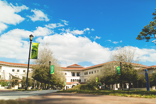 Constitutional Bylaws committee usf sarasota manatee