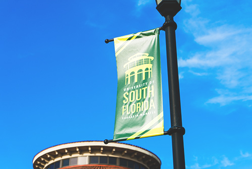 core curriculum at usfsm