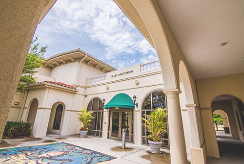 faculty professional development usfsm