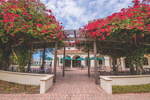 university instructor review at usfsm