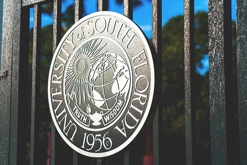 USF system