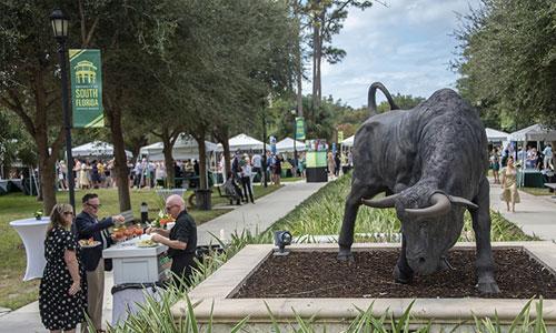 University of South Florida: A Preeminent Research University