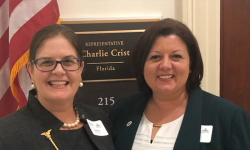 University of South Florida: A Preeminent Research University