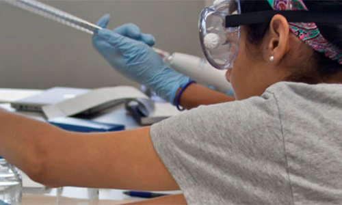 Girls from Sarasota and Manatee counties will visit USFSM's teaching labs at Mote.