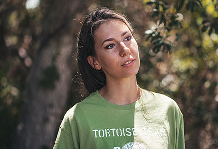 Tortoise