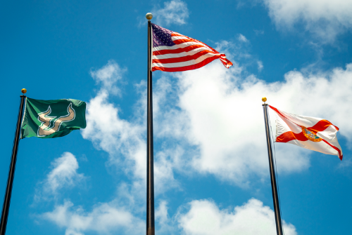 USF USA FL Flags