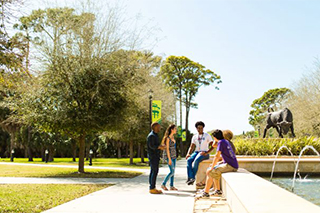 USFSM Campus