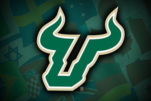 usf flags