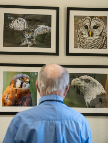 Larry Allen looking at his photographs