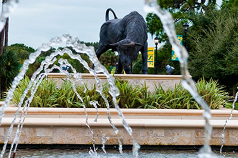 Bull Fountain