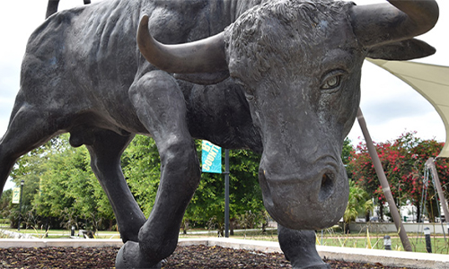 Up close picture of bull statue