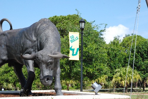 Campus Bull Statue