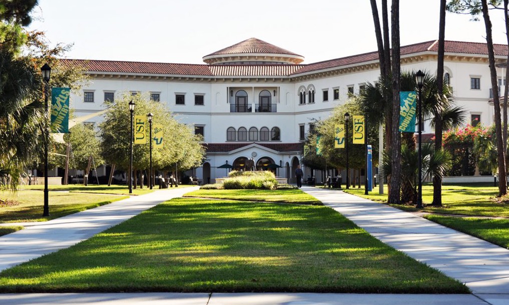 Courtyard lawn