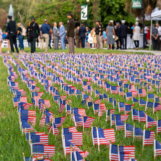Flags placed on the USF Sarasota-Manatee courtyard 