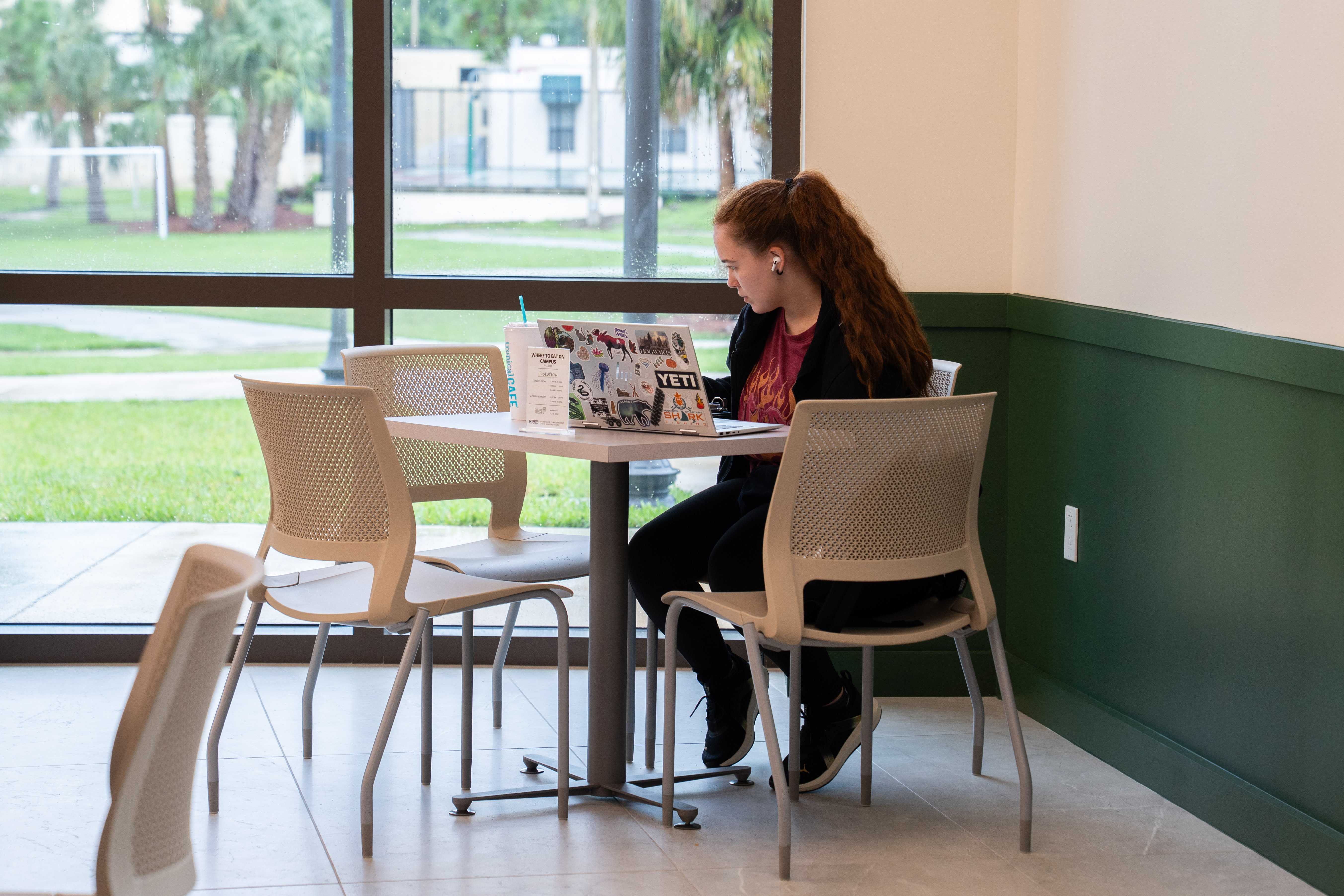 Online programs available through USF Sarasota-Manatee